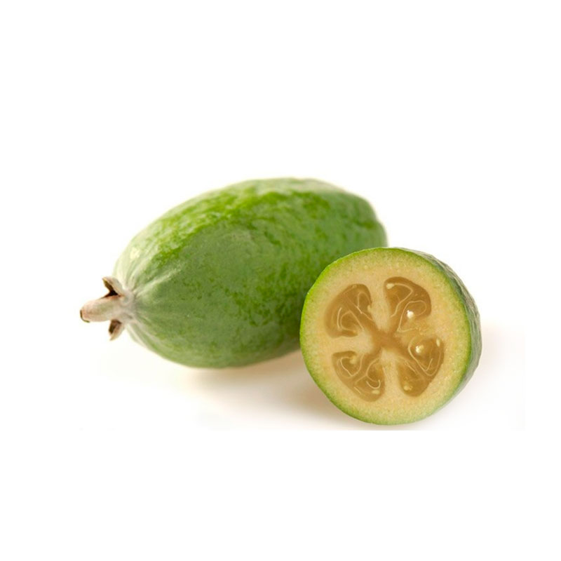 Feijoa 