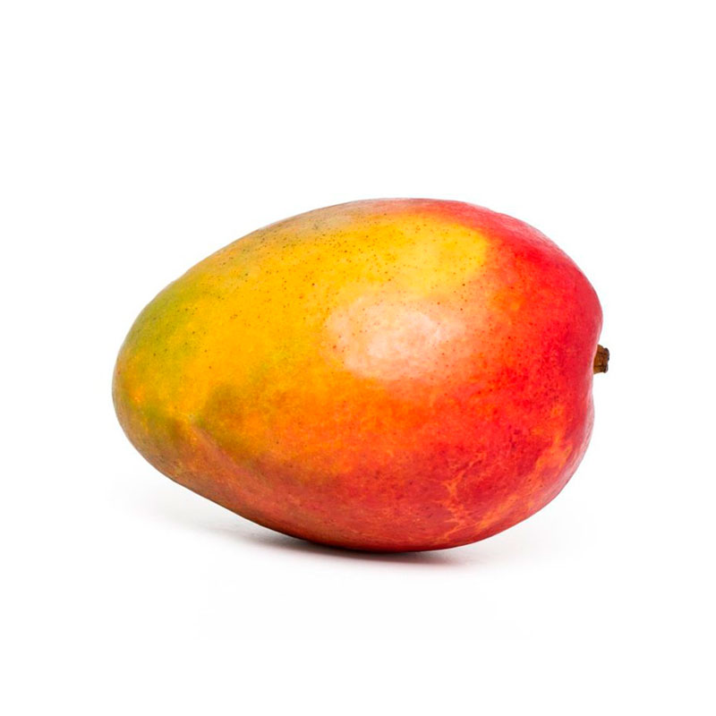 Mango Tommy