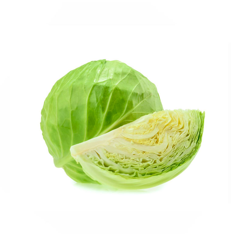 Repollo