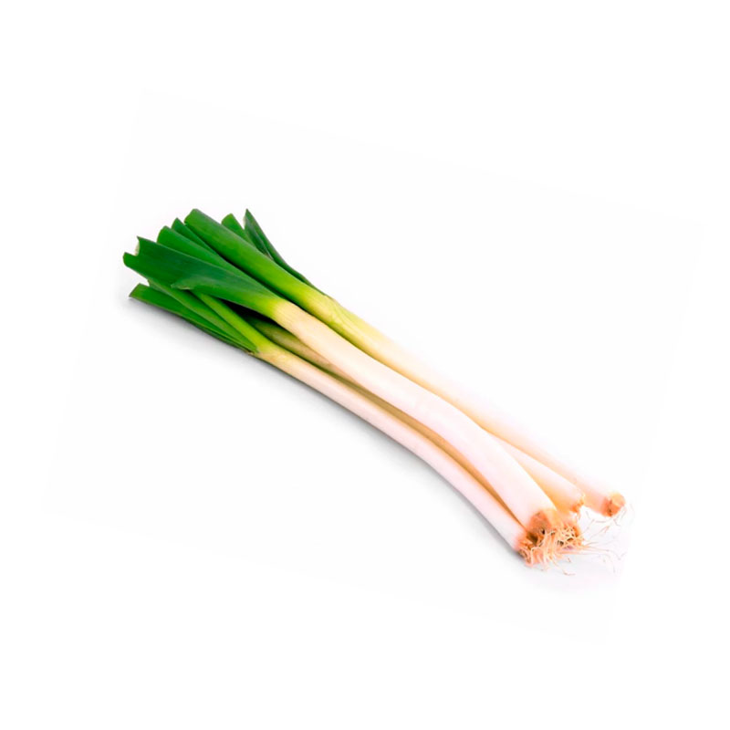 Cebolla Larga 