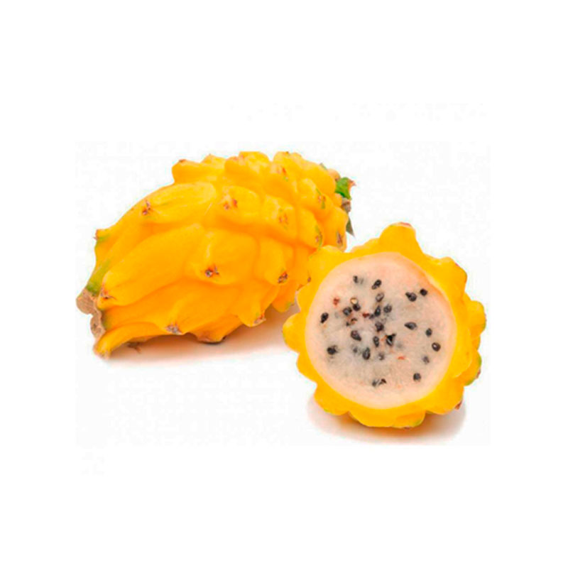 Pitaya